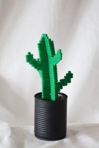 pärlad kaktus