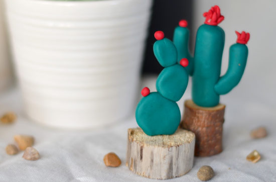 Kaktus diy